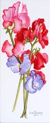 Tres guisantes dulces, 2011